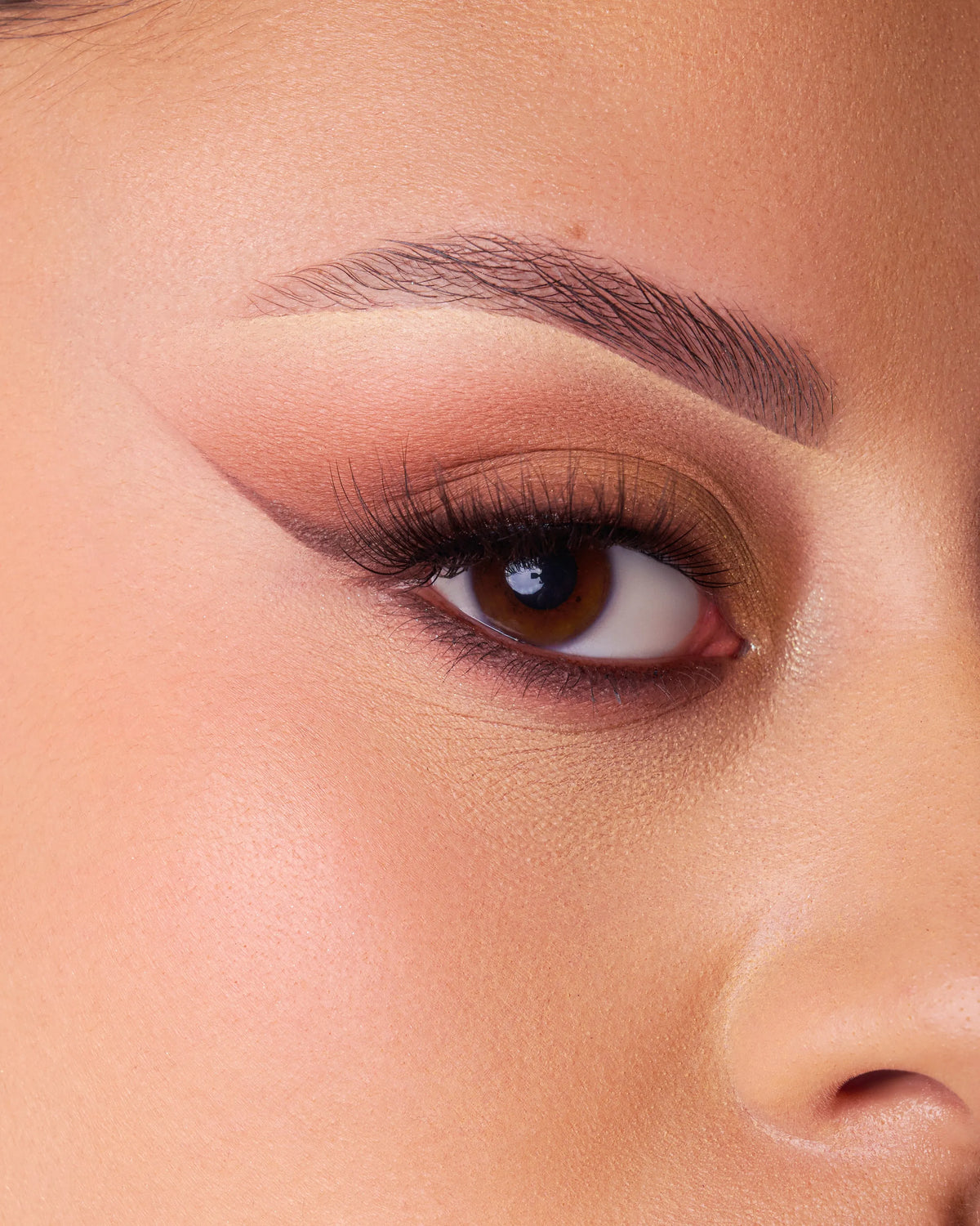 Beauty Creations DUET Eyeshadow Palette